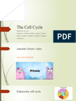 The Cell Cycle