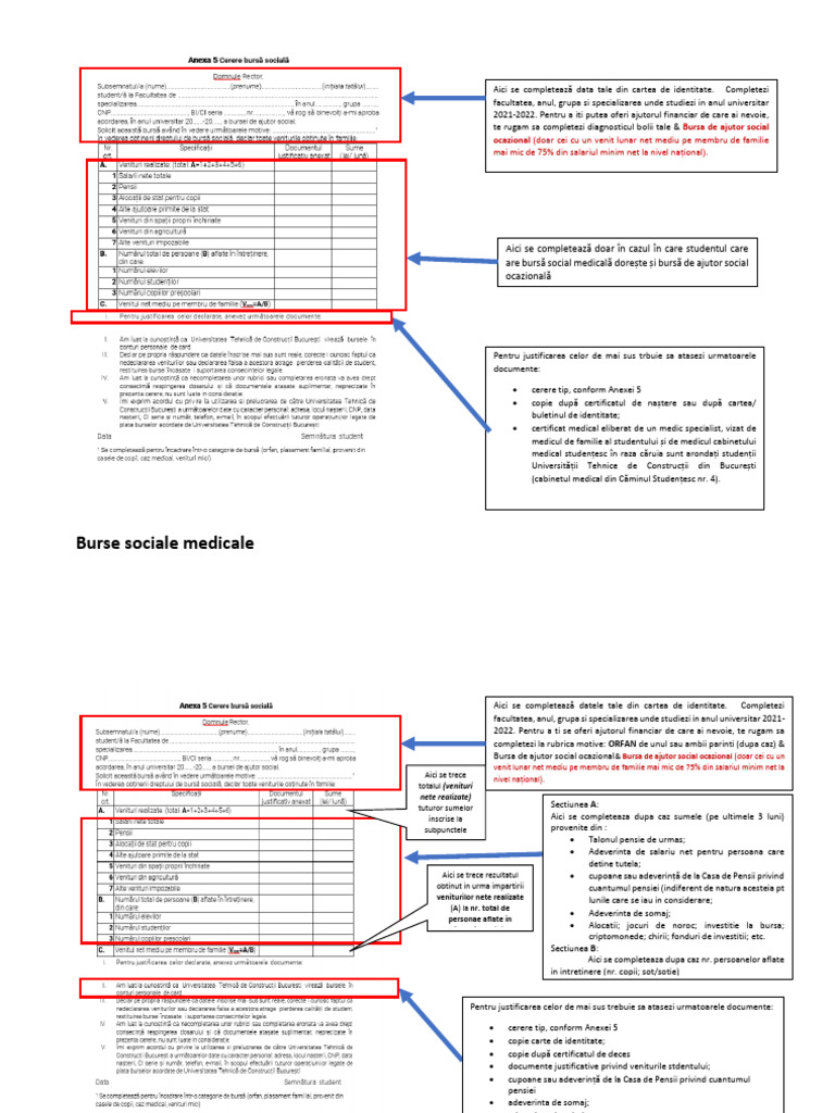 Ghid Completare Anexa 5 | PDF