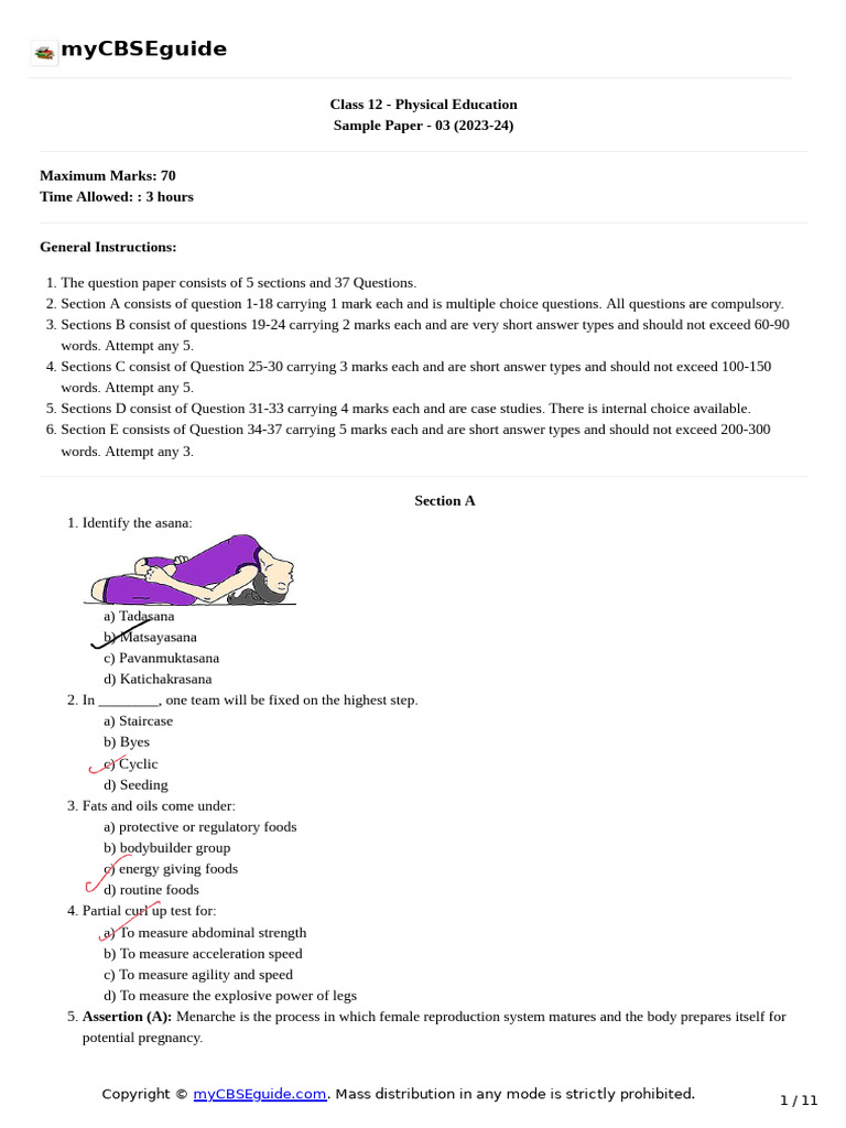 12 Physical Edu23 24sp03 | PDF | Skeletal Muscle | Strength Training