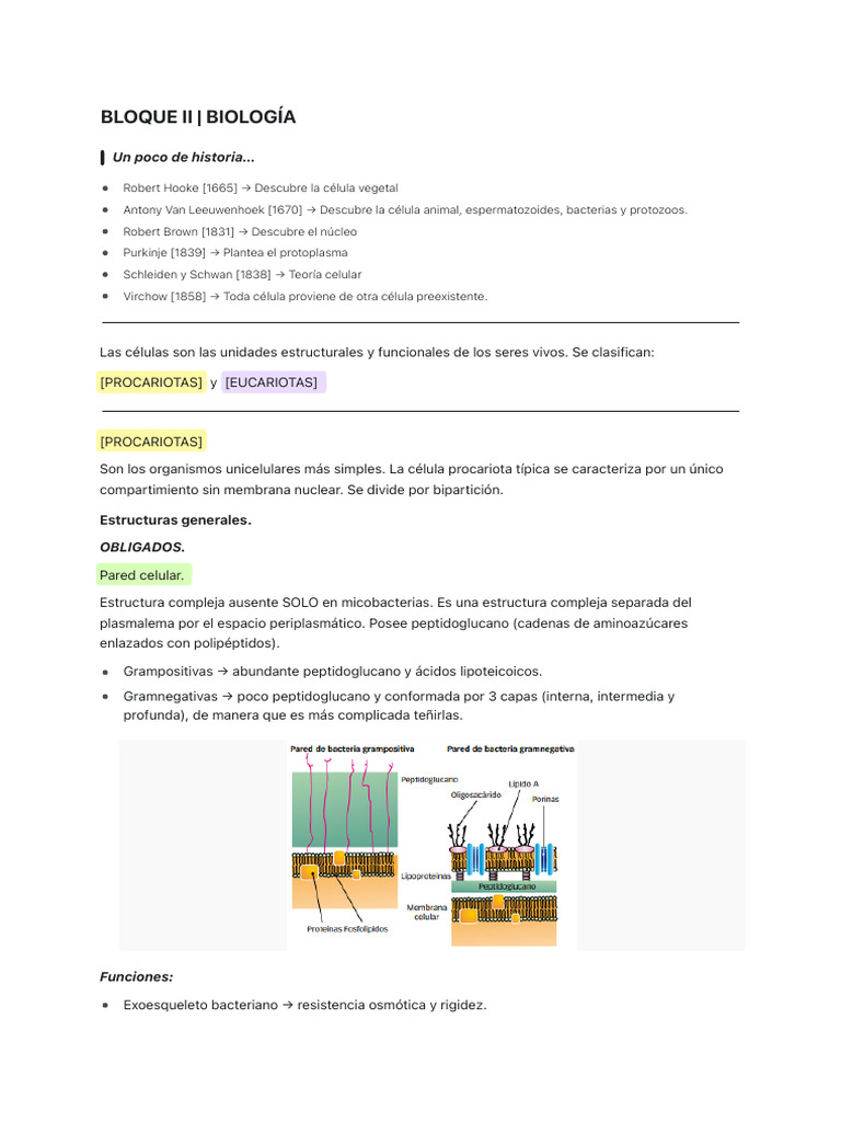 Bloque Ii Biología Pdf Mitosis Fotosíntesis