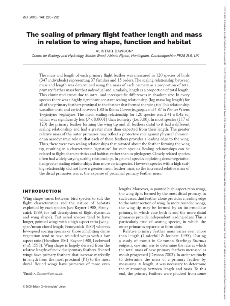 2005 ALISTAIR DAWSON The Scaling of Primary Flight Feather Length and ...