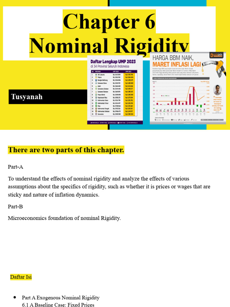 Nominal Rigidity | PDF