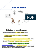 Modèles Animaux