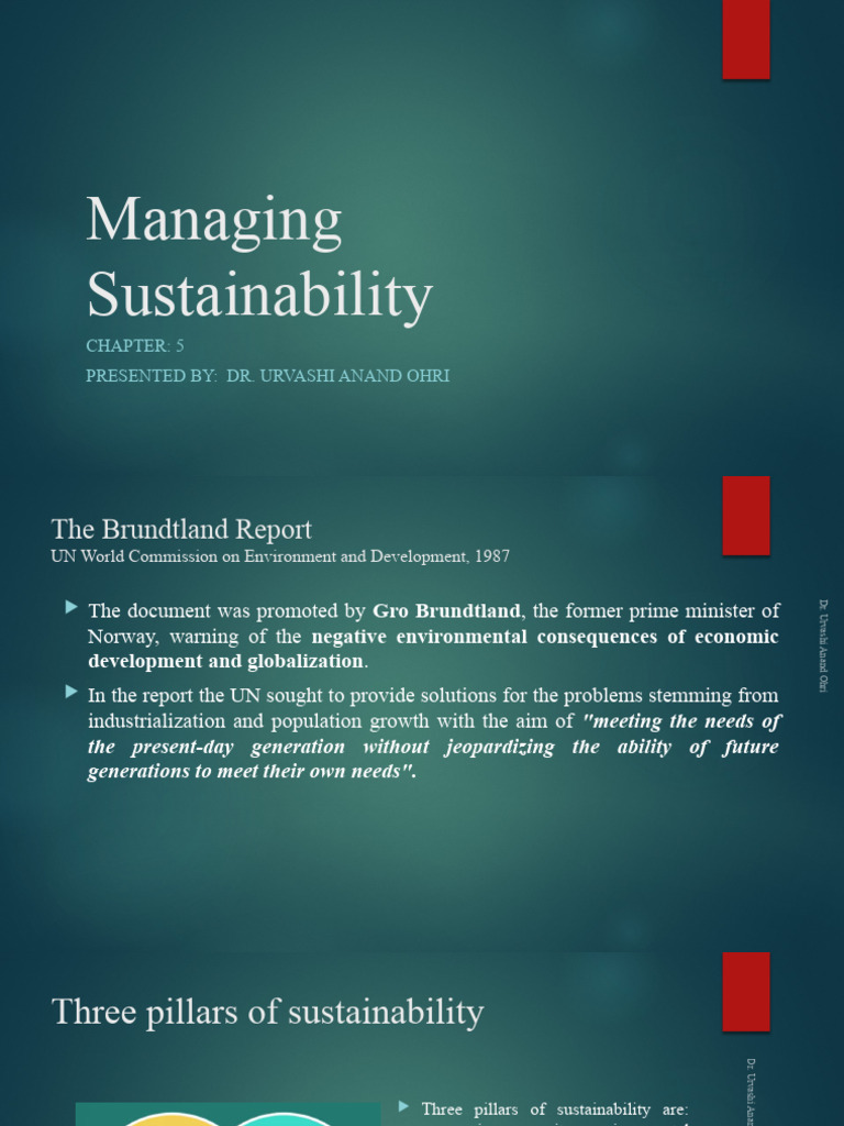 Understanding Sustainable Development Goals | PDF | Sustainability ...