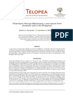 Tristaniopsis Flexuosa (Myrtaceae), A New Species From Ultramafic Soils in the Philippines