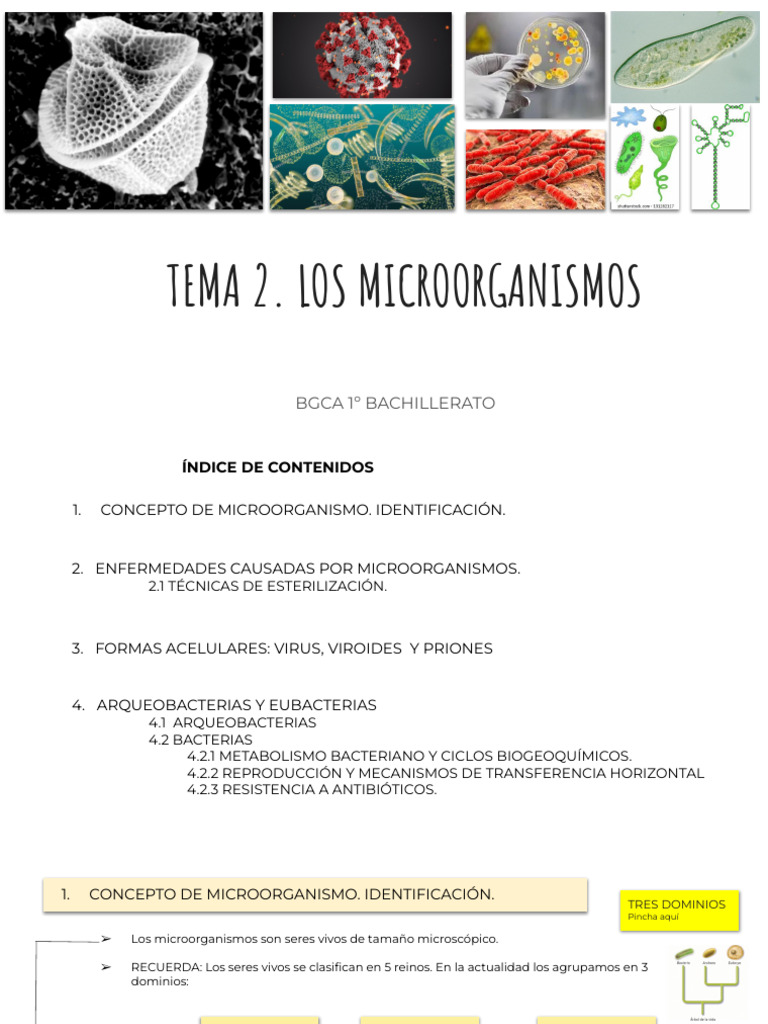 Microorganismos: Tipos y Enfermedades | PDF | Virus | Las bacterias
