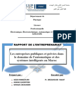 Rapport Entreprenariat