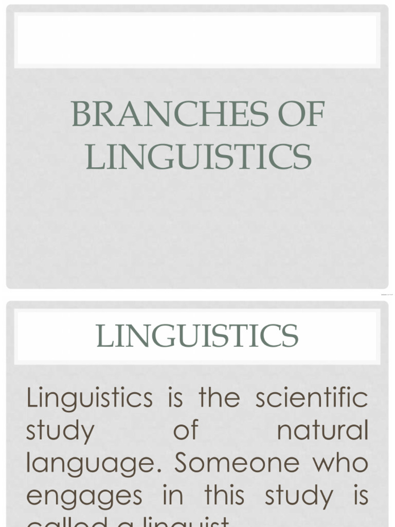 Linguistics And Its Branches Pdf Linguistics Psycholinguistics