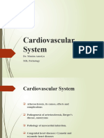 Cardiovascular-System