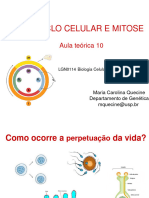 Aula 10 - Ciclo Celular e Mitose