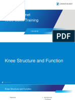 1 Knee Structure and Function