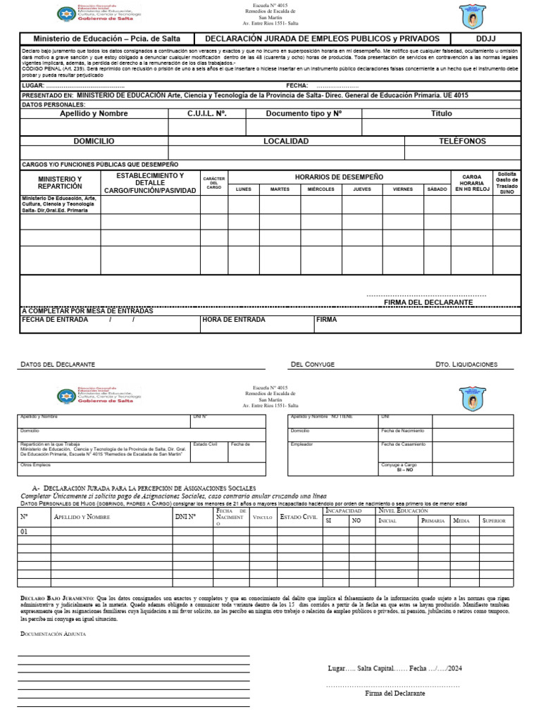 Declaración Jurada Empleos Salta 2024 | PDF | Documento de identidad