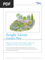 Thorpe Trees Catalogue | PDF | Beech | Plants