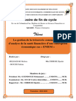 Memoire Final