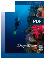 Deep Diver Specialty Course Instructor Outline