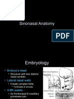 Sinonasal Anatomy