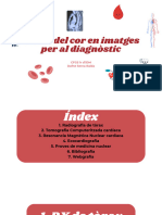 Estudi del cor en imatges per al diagnòstic