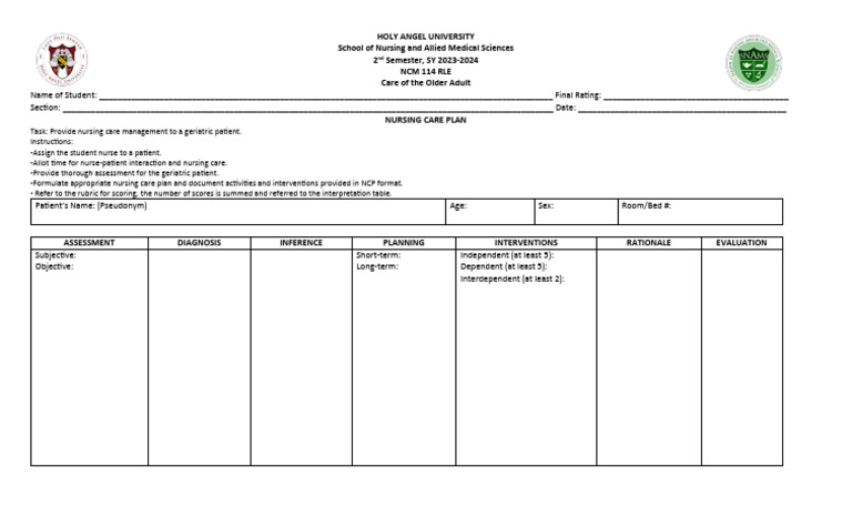 Nursing Care Plan for Geriatric Patients | PDF