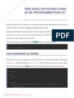 19 - Lire-Et-Ecrire-Dans-Un-Fichier-Golang