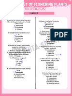 morphology families