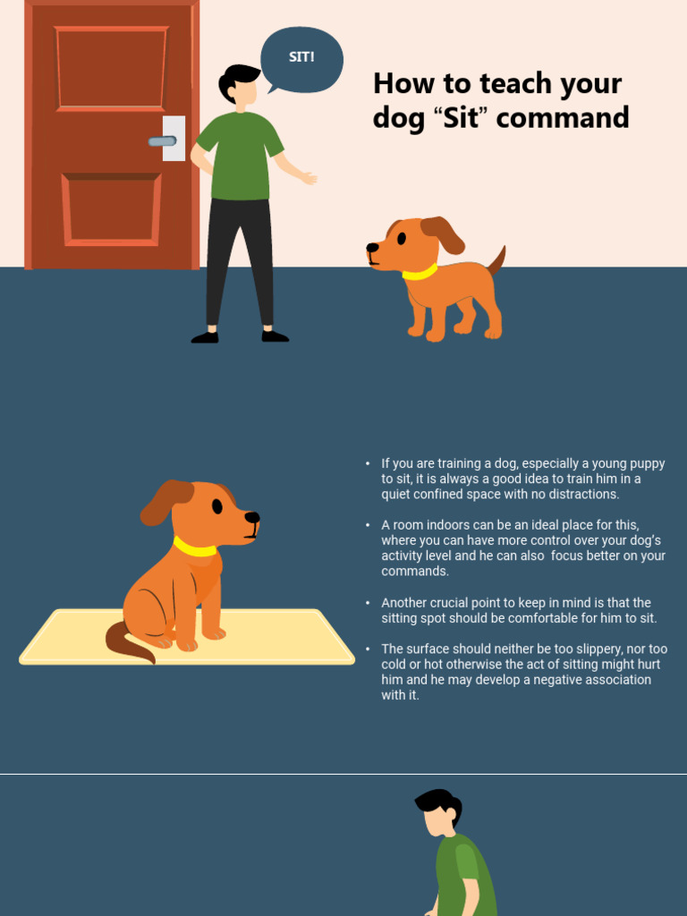 Training+Guide+-+Sit+command | PDF | Dogs