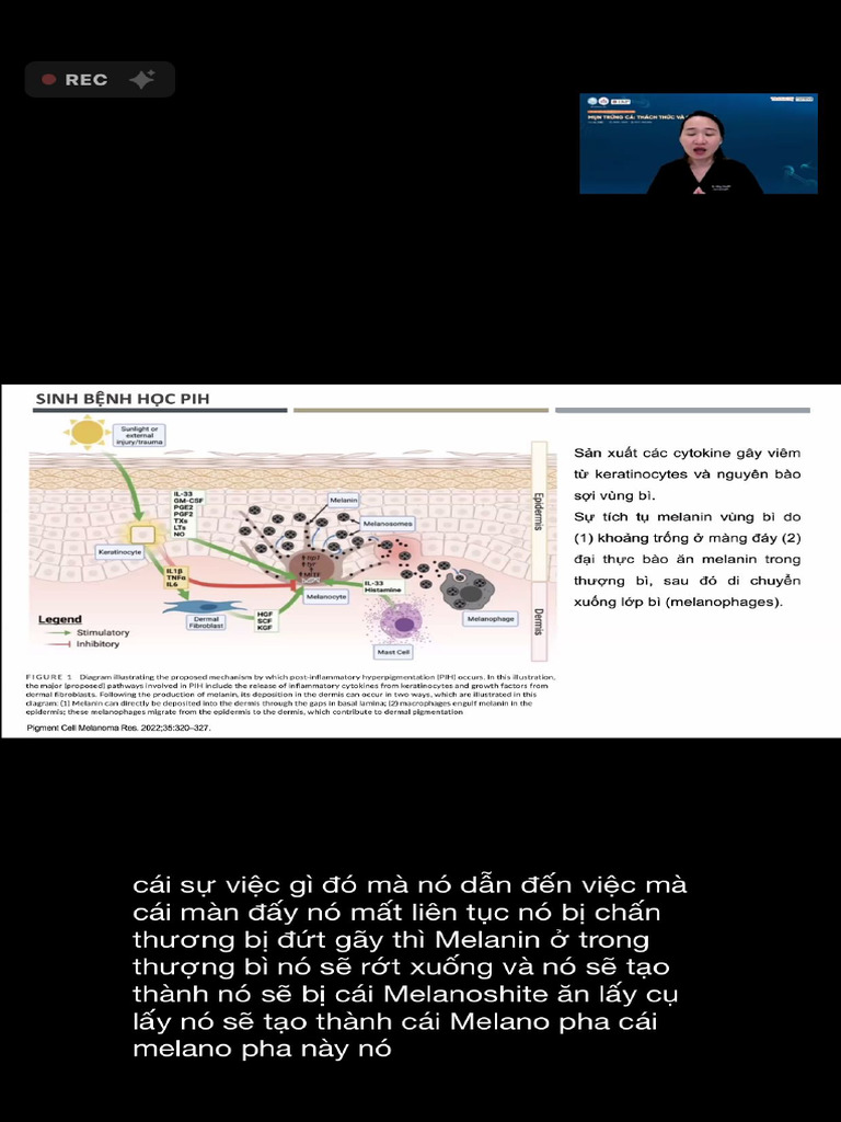 Dowload Trên M NG | PDF