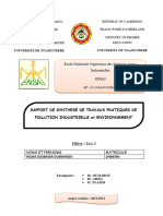 YELWA Pollution Rapport Synthese