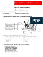 D3 A1 FICHA CT. Escuchar y Sentir Objetos A Través Del Sistema Nervioso