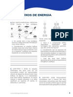 aluno APROFUNDADO ECOLOGIA - FLUXO DE ENERGIA - 2024 (1)