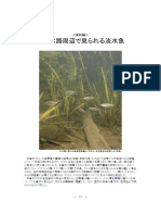 Agriculturalcanal Manual 09
