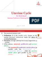 3B. Uterine Cycle