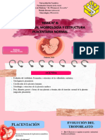 Seminario Det8 Placentación 2023, g3 Dalena Arévalo