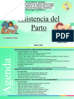 T28. Asistencia Del Parto. Periodos Dilatante, Expulsivo y Del Alumbramiento.