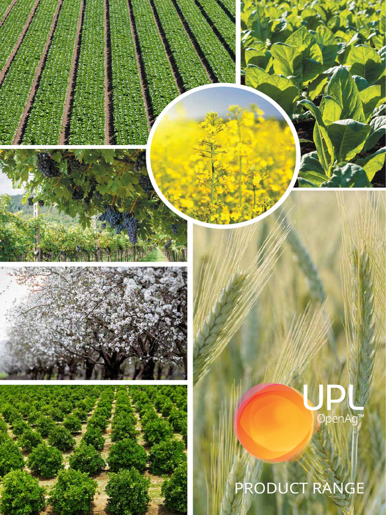 Upl Product Brochure | PDF | Herbicide | Wheat