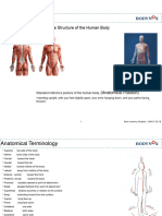 Basic Anatomy (English)