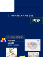 2 Pembelahan Sel