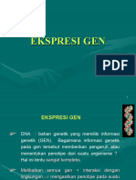 7a Sintesa protein-Ekspresi gen