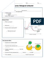 Enzymes Guided Notes