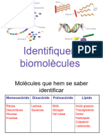Identifiquem Biomolcules