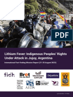 Lithium Fever: Indigenous Peoples’ Rights Under Attack in Jujuy, Argentina