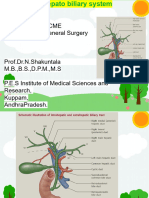 Anatomy of Hepatobiliary System