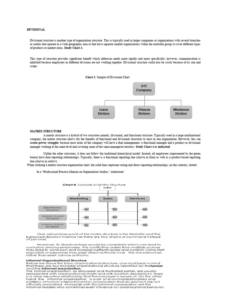 DIVISIONAL | PDF | Organizational Structure | Strategic Management