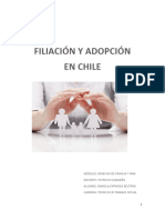 Informe Filiación y Adopción en Chile