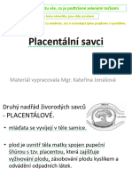 placentalni_savci_rad_hmyzozravci_letouni