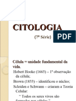 Citologia 120321092130 Phpapp01