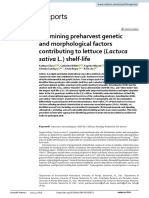 Examining Preharvest Genetic and Morphological Factors Contributing To Lettuce Lactuca Sativa L Shelflifescientific Reports
