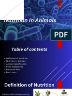 Nutrition in Animals Presentation