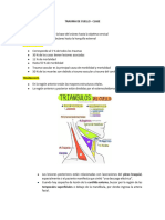 1.1 Trauma de Cuello