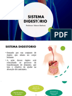 Sistema Digestorio.