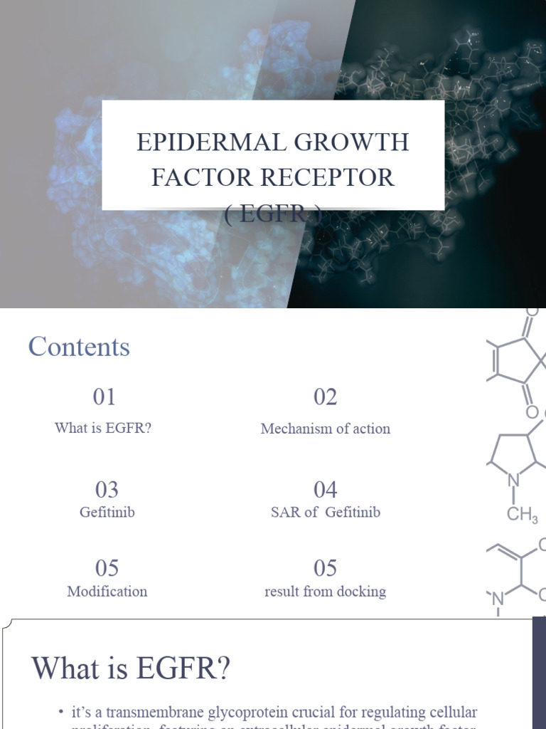 (Epidermal Growth Factor Receptor)(EGFR) | PDF | Epidermal Growth ...